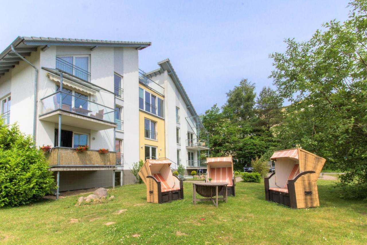 Strandmuschel * Sellin (Rugen)